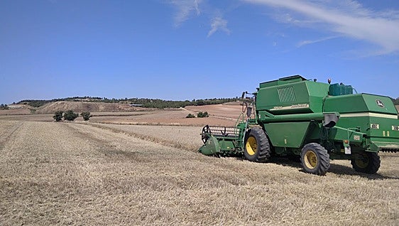 Comienza a cotizar el trigo en la lonja de León