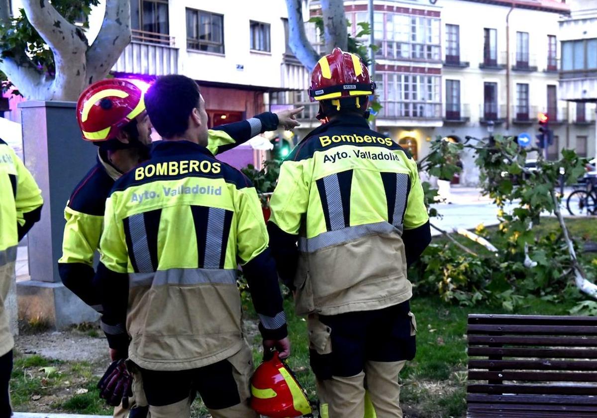 Los bomberos, junto a la rama caída.