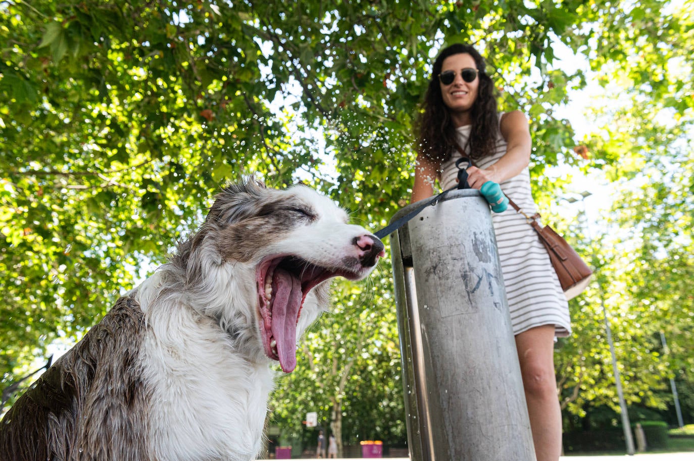 Comienza la mini ola de calor en Valladolid