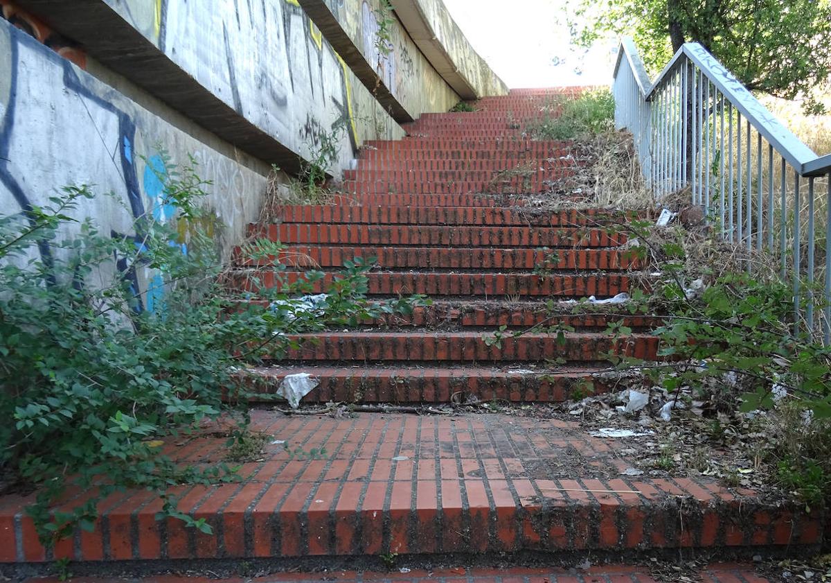 Imagen principal - Estado de las escalinatas del puente de Hispanoamérica. Debajo, a la derecha, la escalera cortada al paso por la caída de un árbol.