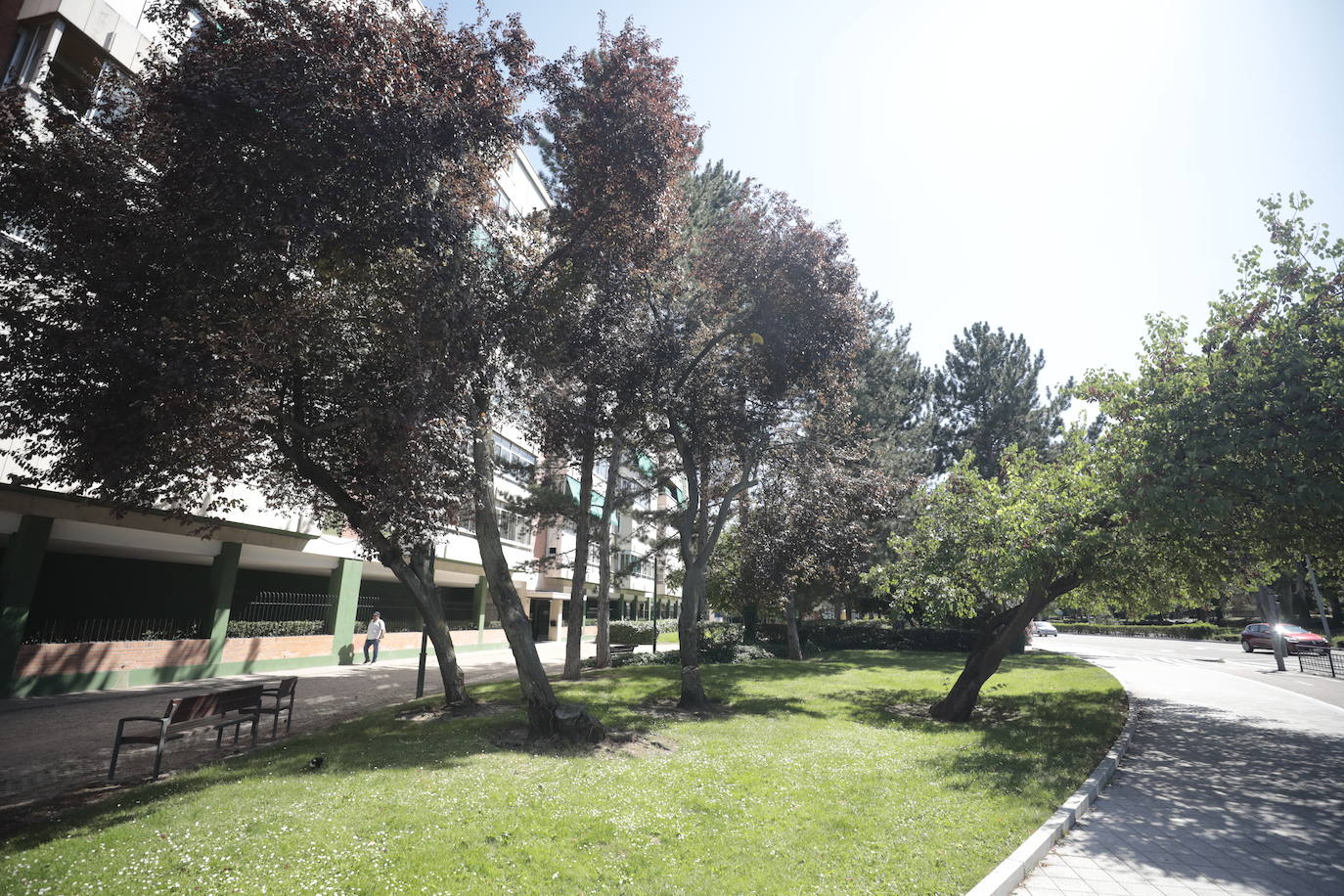 Las imágenes de la avenida de Salamanca en Valladolid
