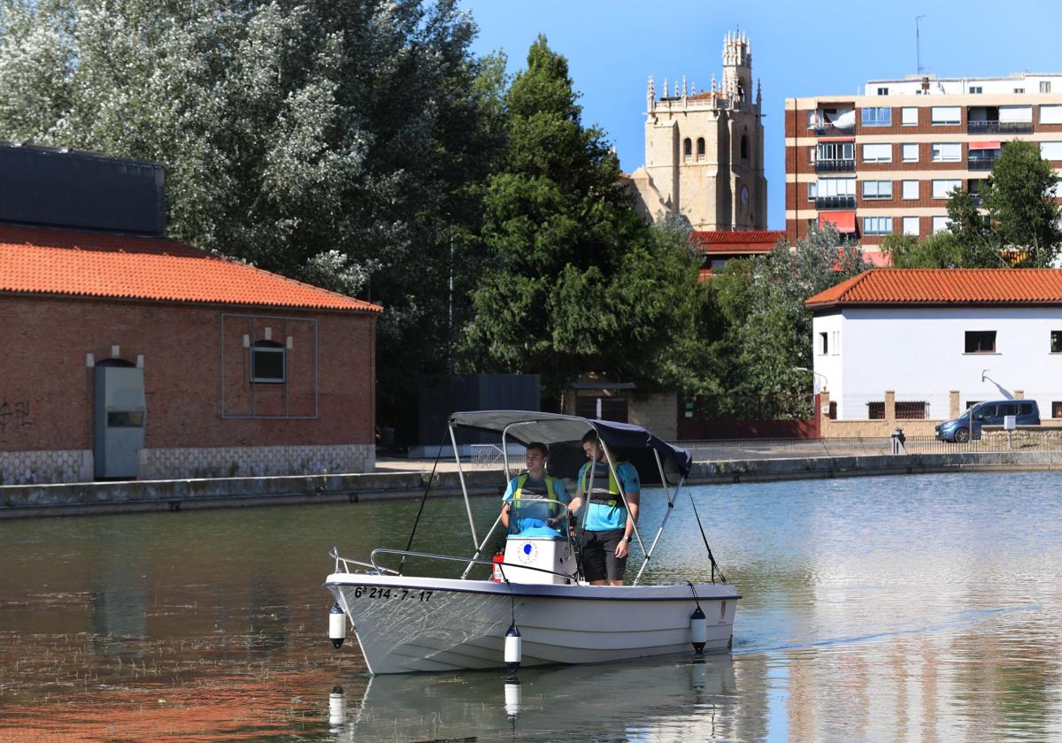 Una de las barcas eléctricas de la Dársena del Canal.