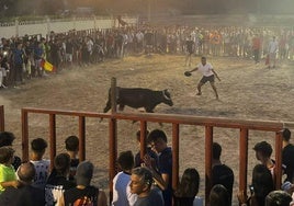 Espectáculo taurino en las fiestas de Herrera de Duero.