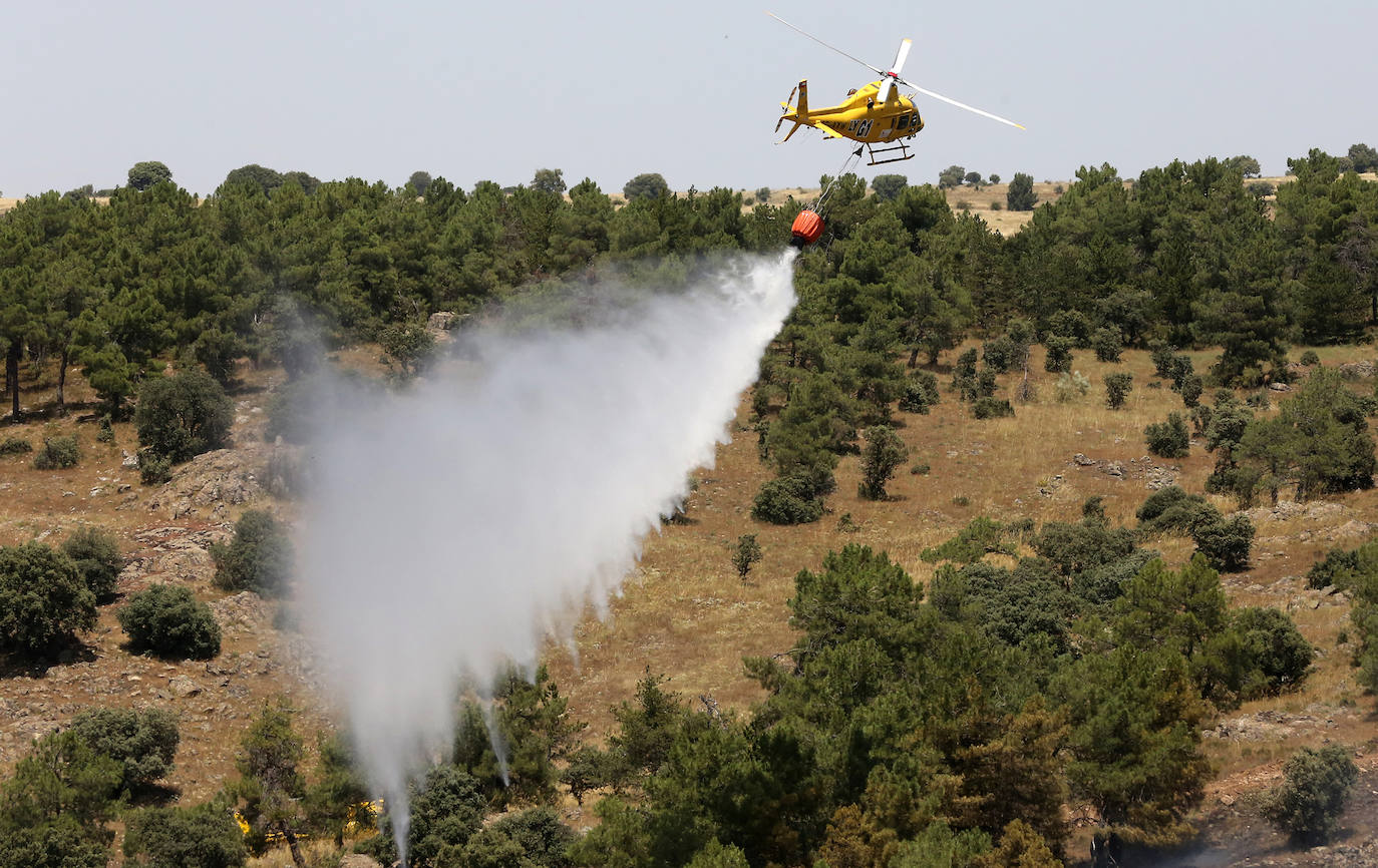 Fotografías del incendio en un pinar de La Higuera