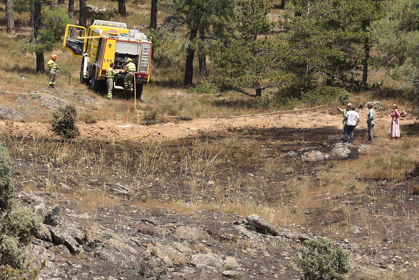 Fotografías del incendio en un pinar de La Higuera