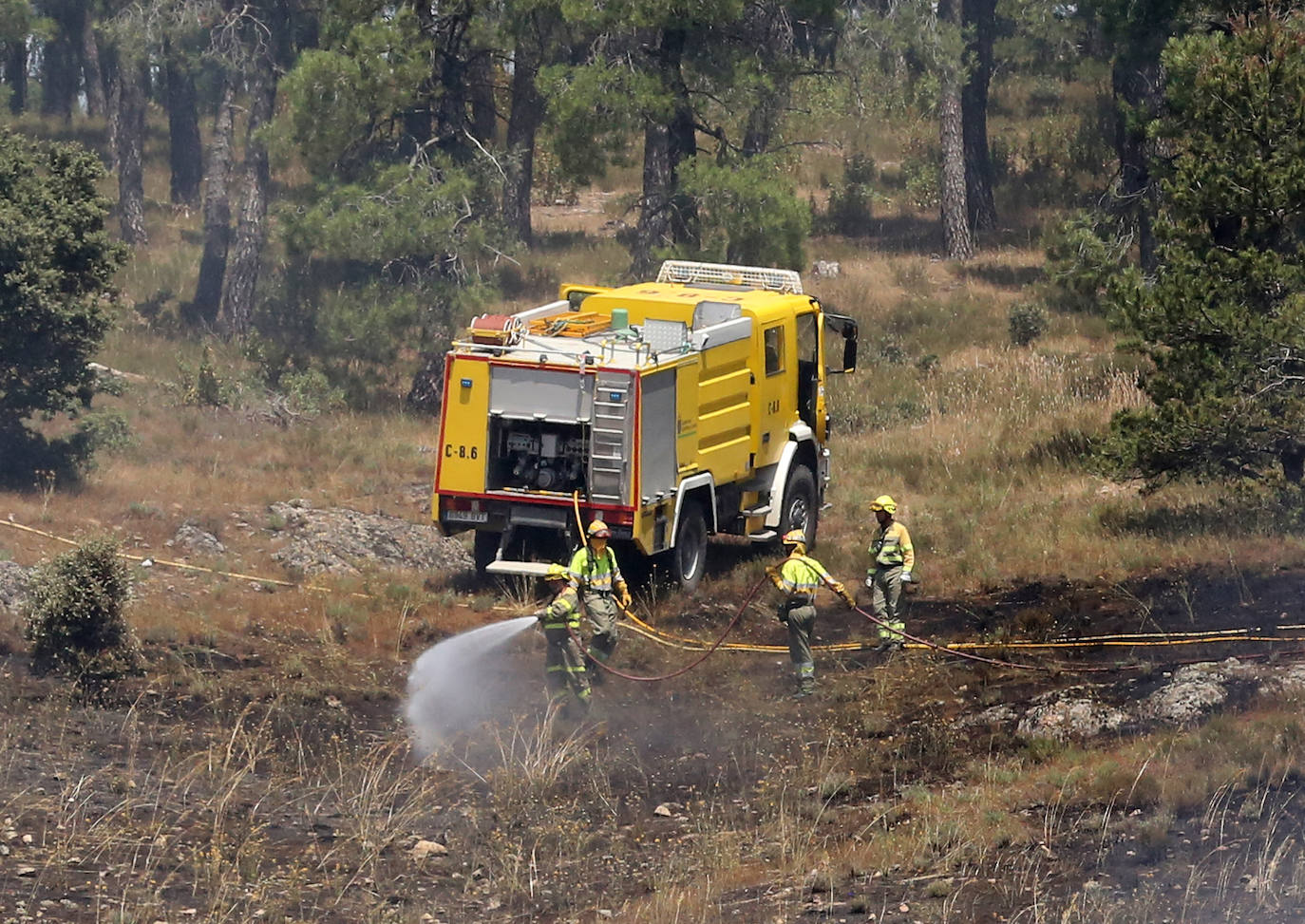 Fotografías del incendio en un pinar de La Higuera