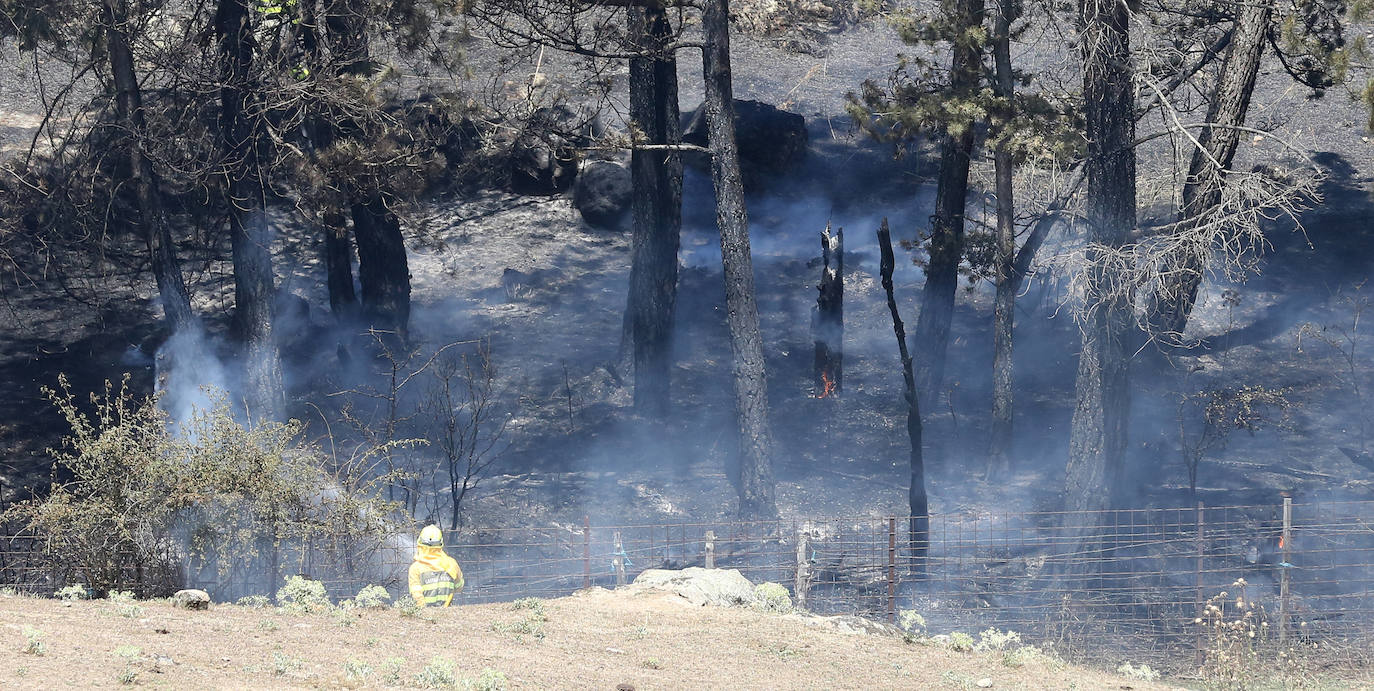 Fotografías del incendio en un pinar de La Higuera