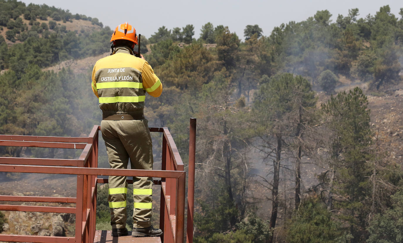 Fotografías del incendio en un pinar de La Higuera