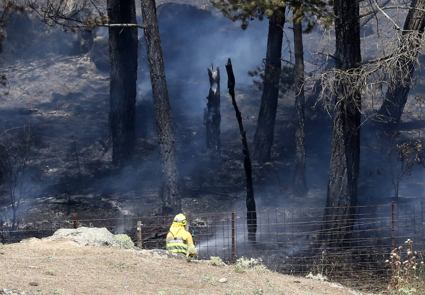 Fotografías del incendio en un pinar de La Higuera