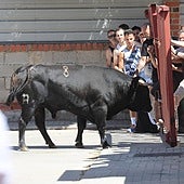 Aparatoso fin de semana taurino en Valladolid: dos heridos y astados sueltos