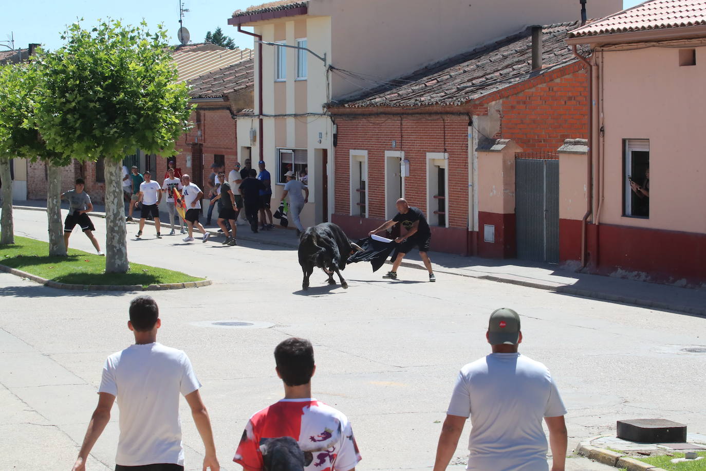 El segundo encierro de las fiestas de Matapozuelos, en imágenes