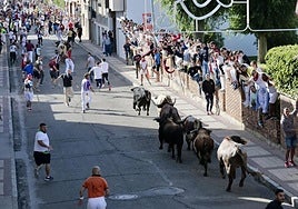 Uno de los encierros de las fiestas populares de Íscar del año pasado.