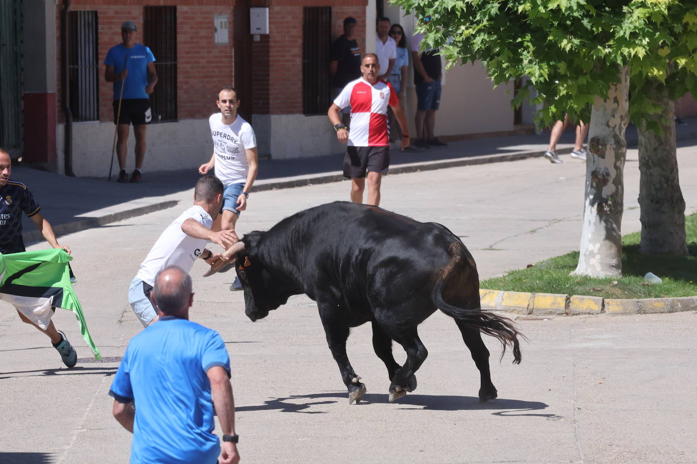 Encierro matinal de la jornada del domingo en Matapozuelos (Valladolid)