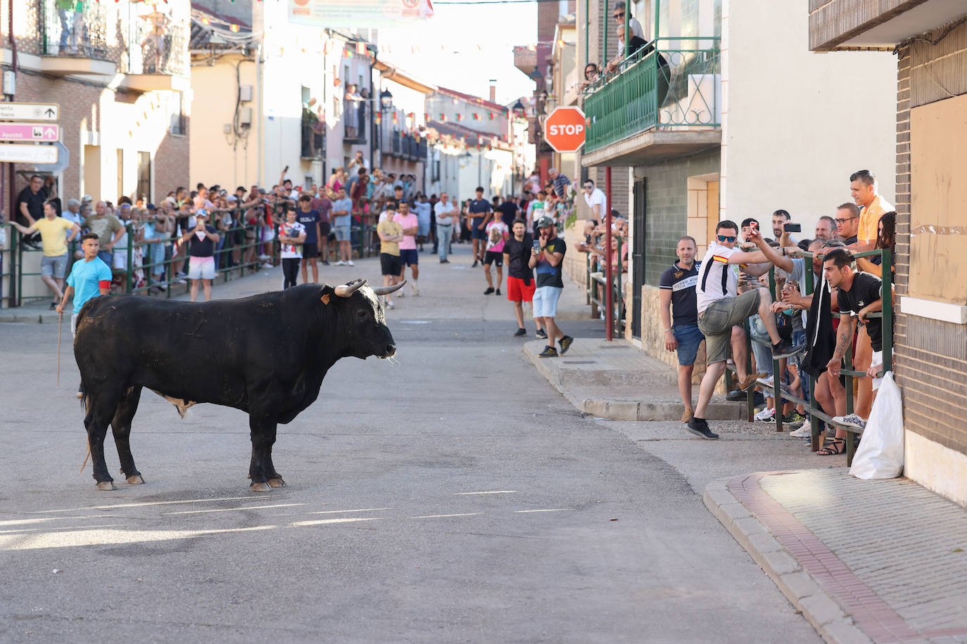 El sexto encierro de las fiestas de Santa Marina en Cigales, en imágenes