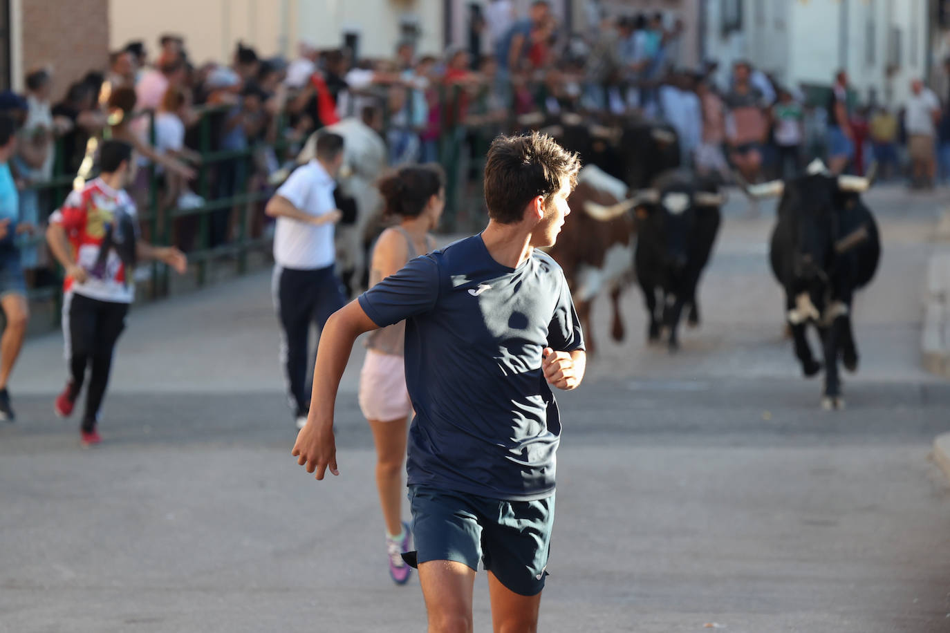 El sexto encierro de las fiestas de Santa Marina en Cigales, en imágenes