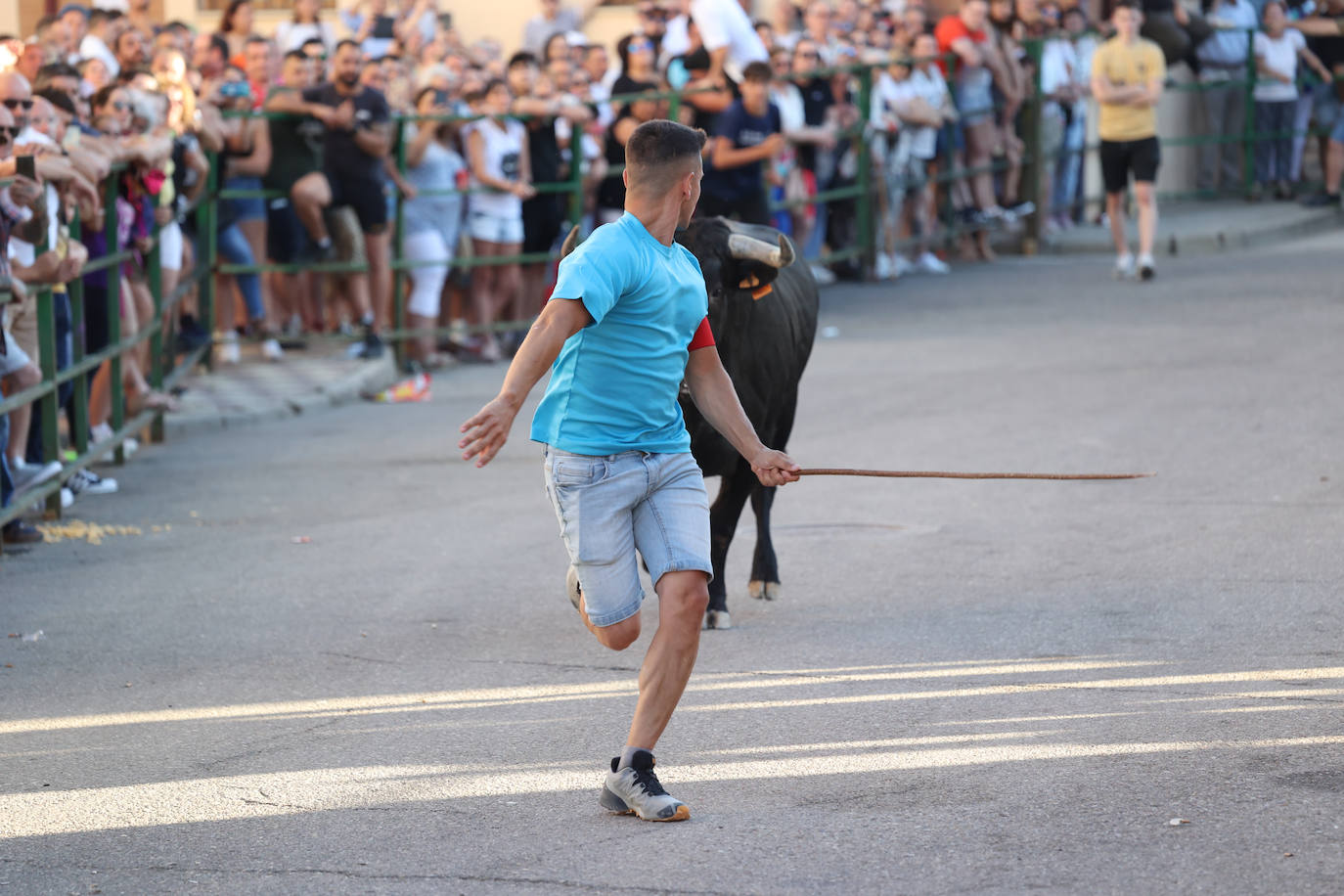 El sexto encierro de las fiestas de Santa Marina en Cigales, en imágenes