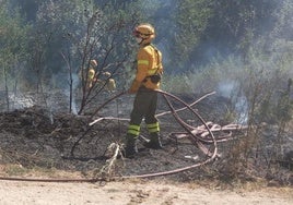 Labores de extinción y refresco del terreno quemado en el incendio de este martes en La Granja.