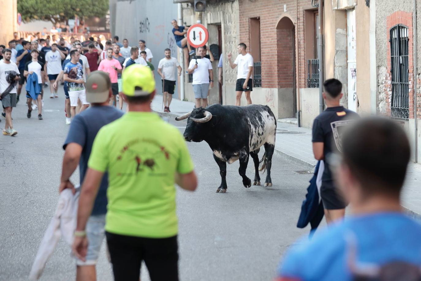 El Toro del Fogato en Tudela, en imágenes