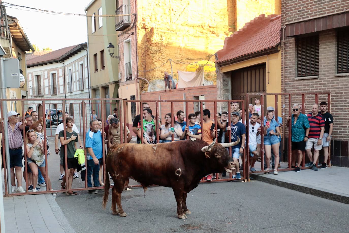 El Toro del Fogato en Tudela, en imágenes