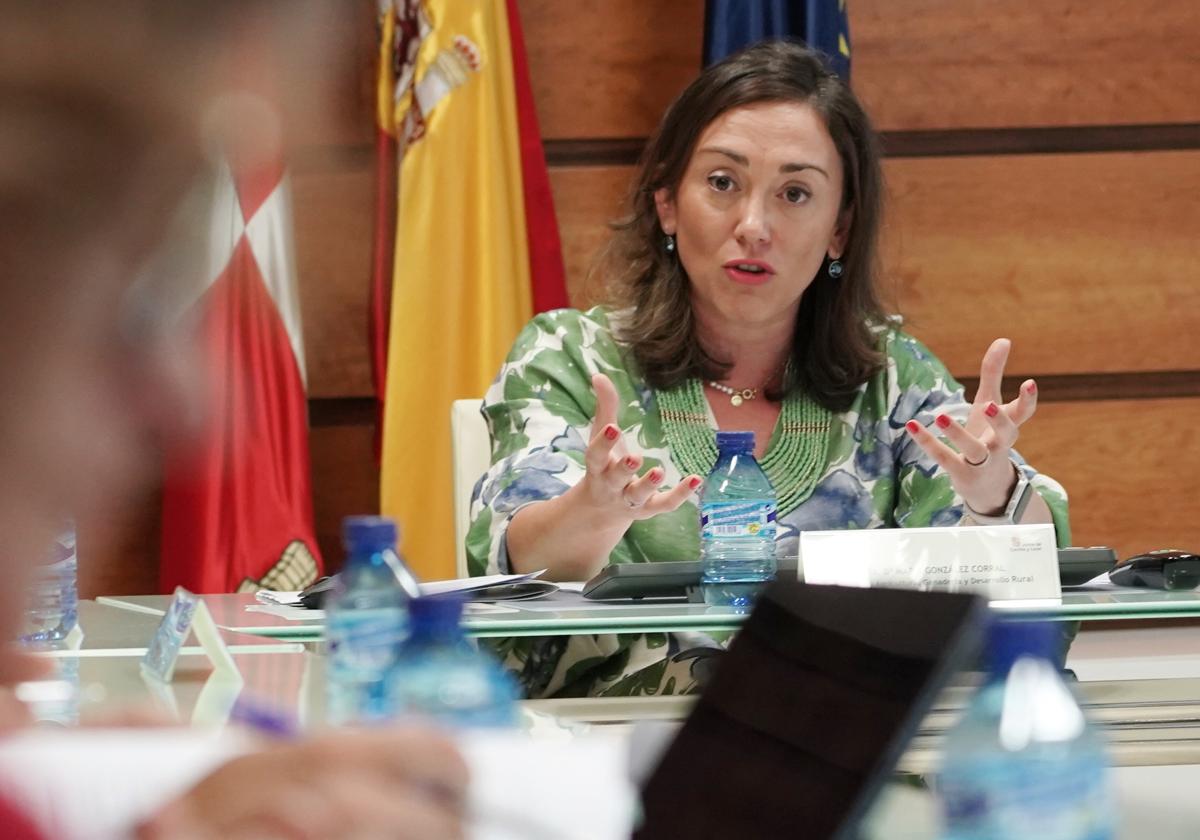 La consejera de Agricultura y Ganadería durante la reunión celebrada con representantes de las organizaciones agrarias, este miércoles.