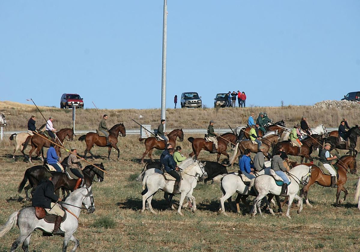 Caballistas durante un tramo del encierro de Cuéllar.