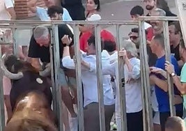 El toro levanta al hombre de 60 años durante el encierro de Tudela de Duero.