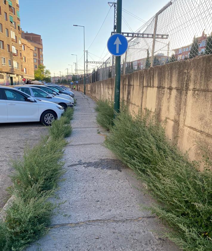 Imagen secundaria 2 - Maleza en las inmediaciones del puente de la Hispanidad y en la calle de la Vía. 