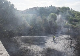 Bomberos trabajan en la extinción del incendio.