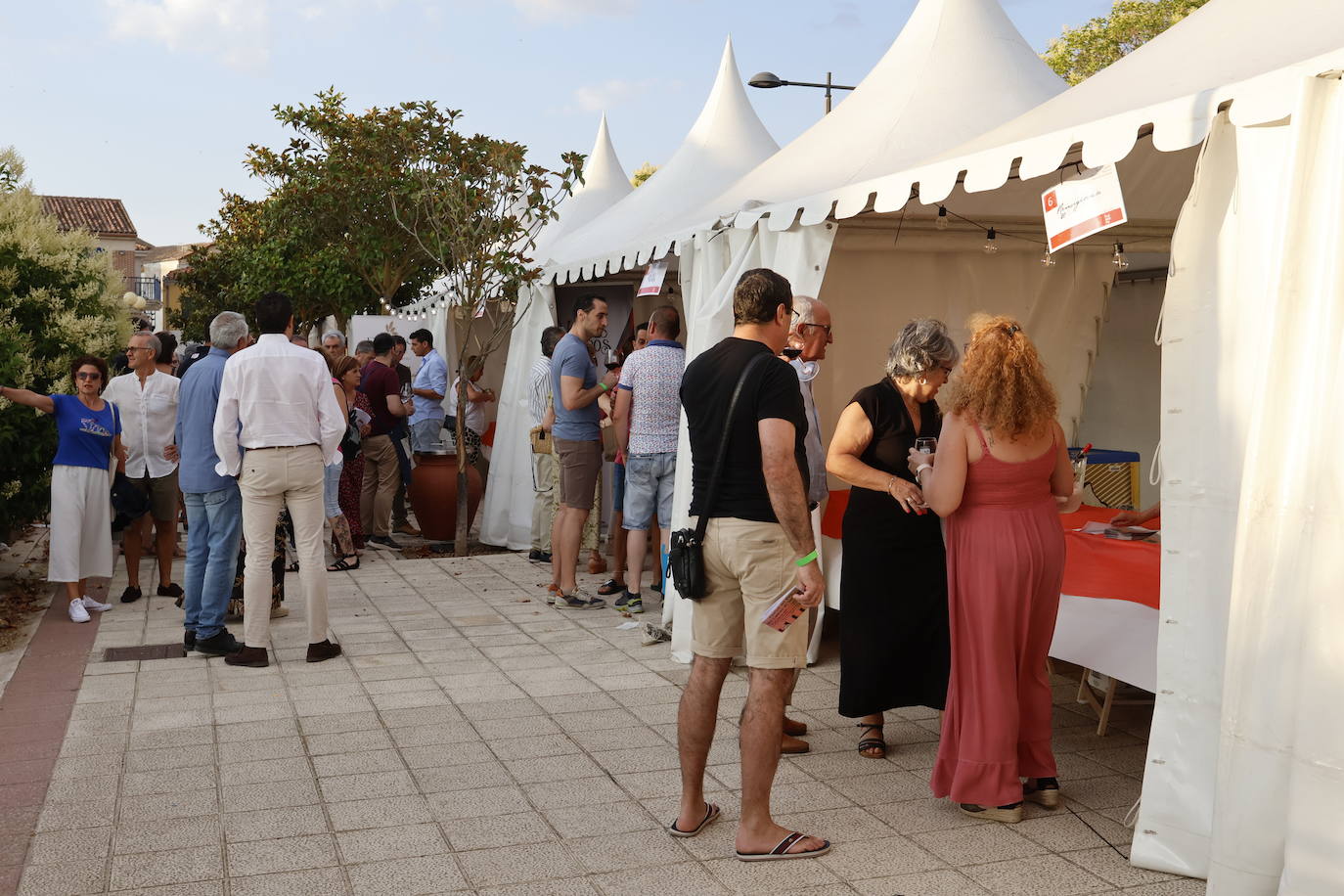 El Camino de Santiago dedica en Frómista un festival al vino