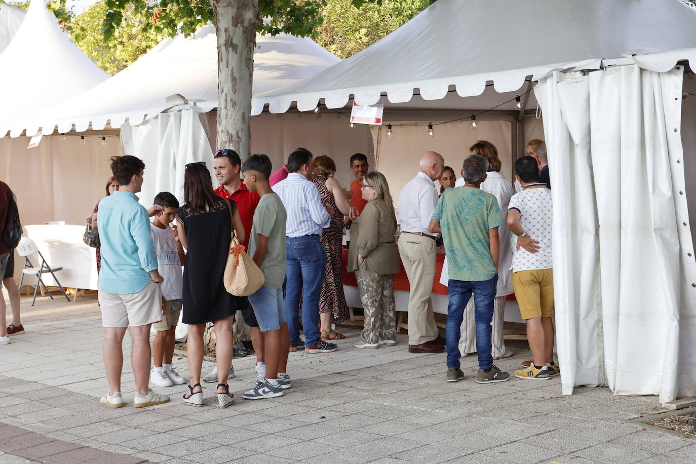 El Camino de Santiago dedica en Frómista un festival al vino