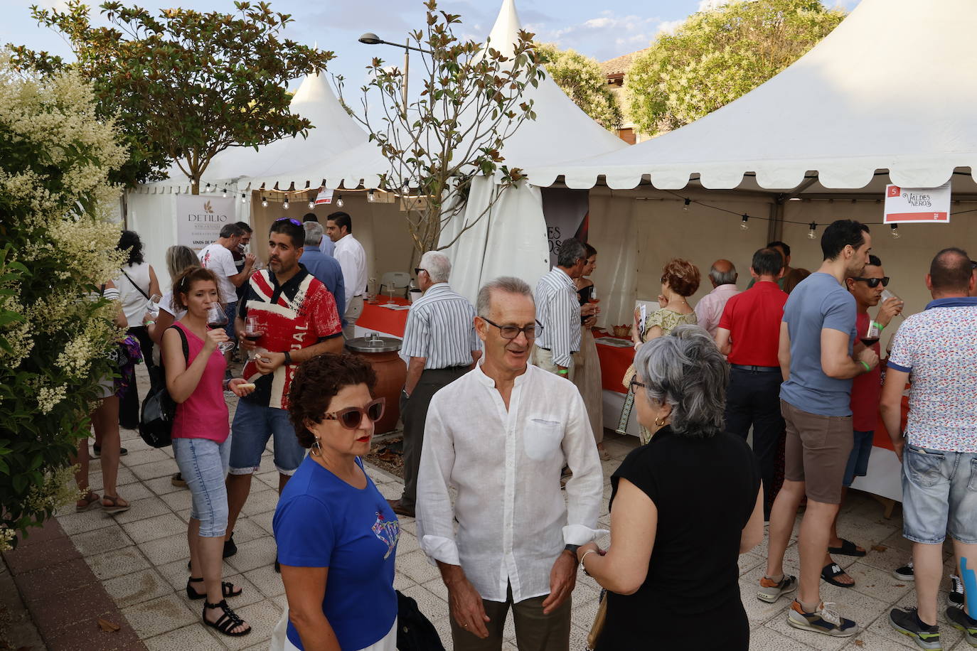 El Camino de Santiago dedica en Frómista un festival al vino