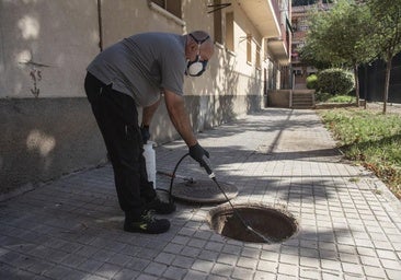 La demanda de control de plagas se triplica en Segovia