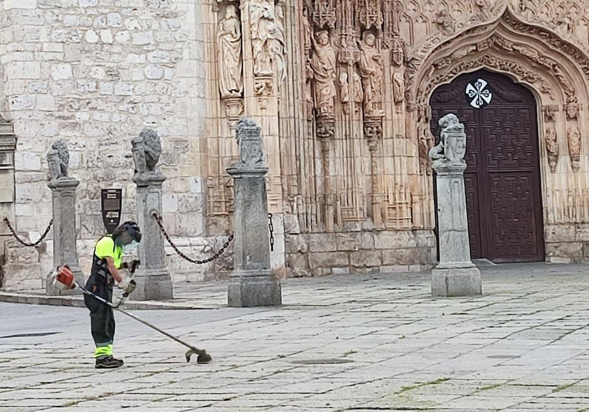 Trabajos de desbroce en la plaza de San Pablo.