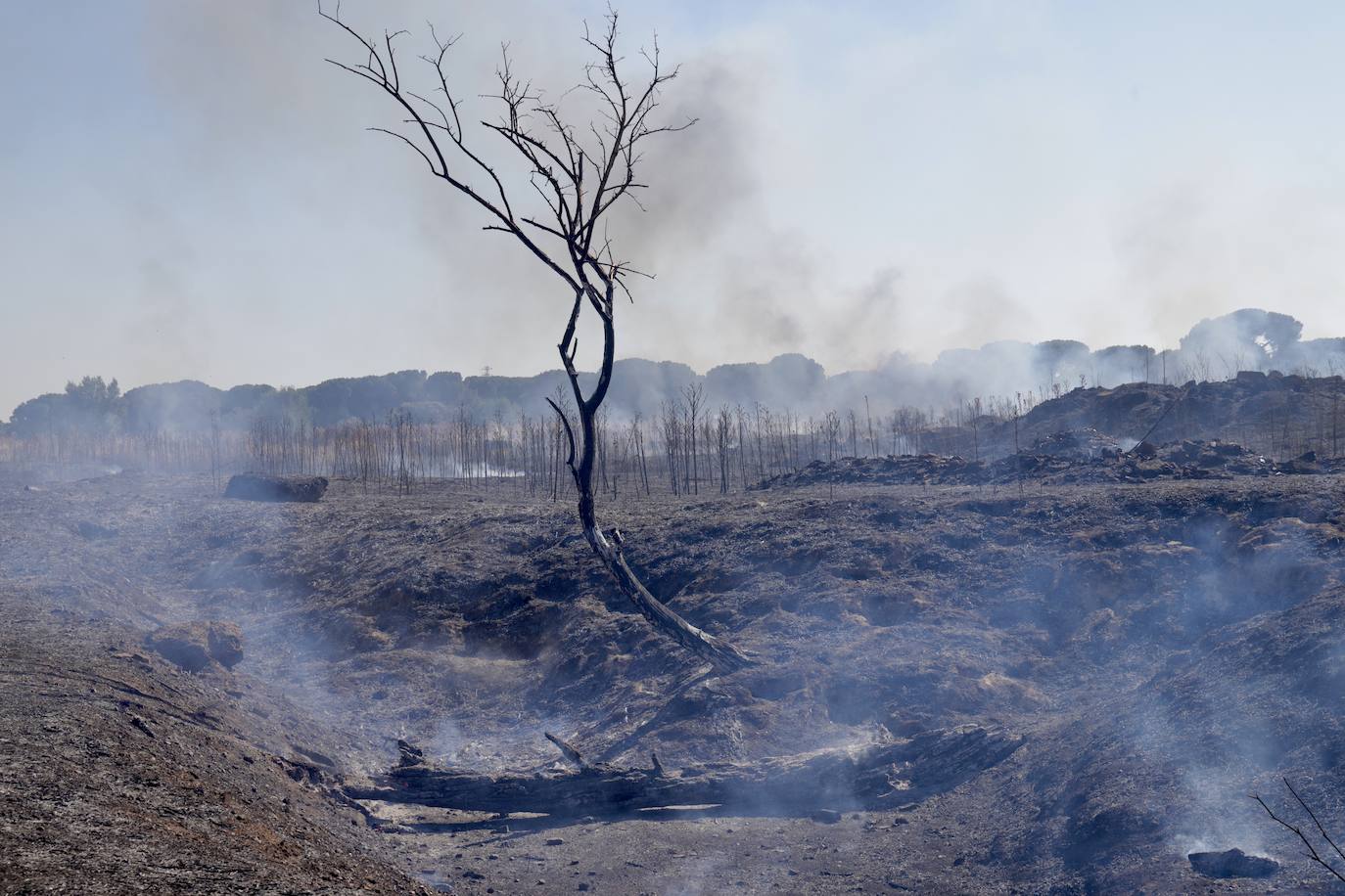 Imágenes del incendio en Pinar de Jalón