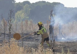 Los bomberos apagan el fuego en Pinar de Jalón