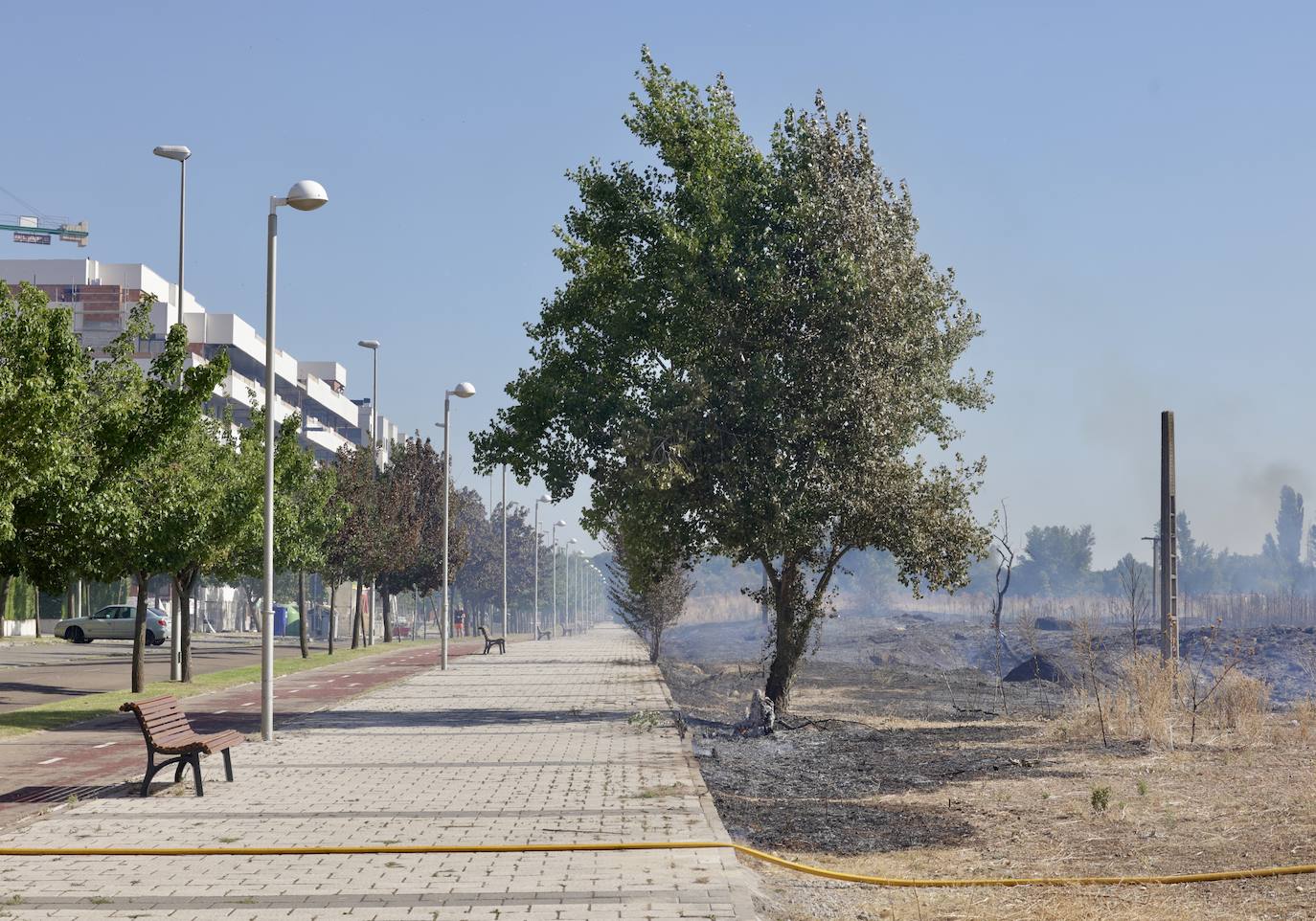 Imágenes del incendio en Pinar de Jalón