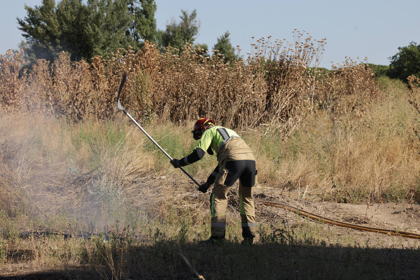 Imágenes del incendio en Pinar de Jalón