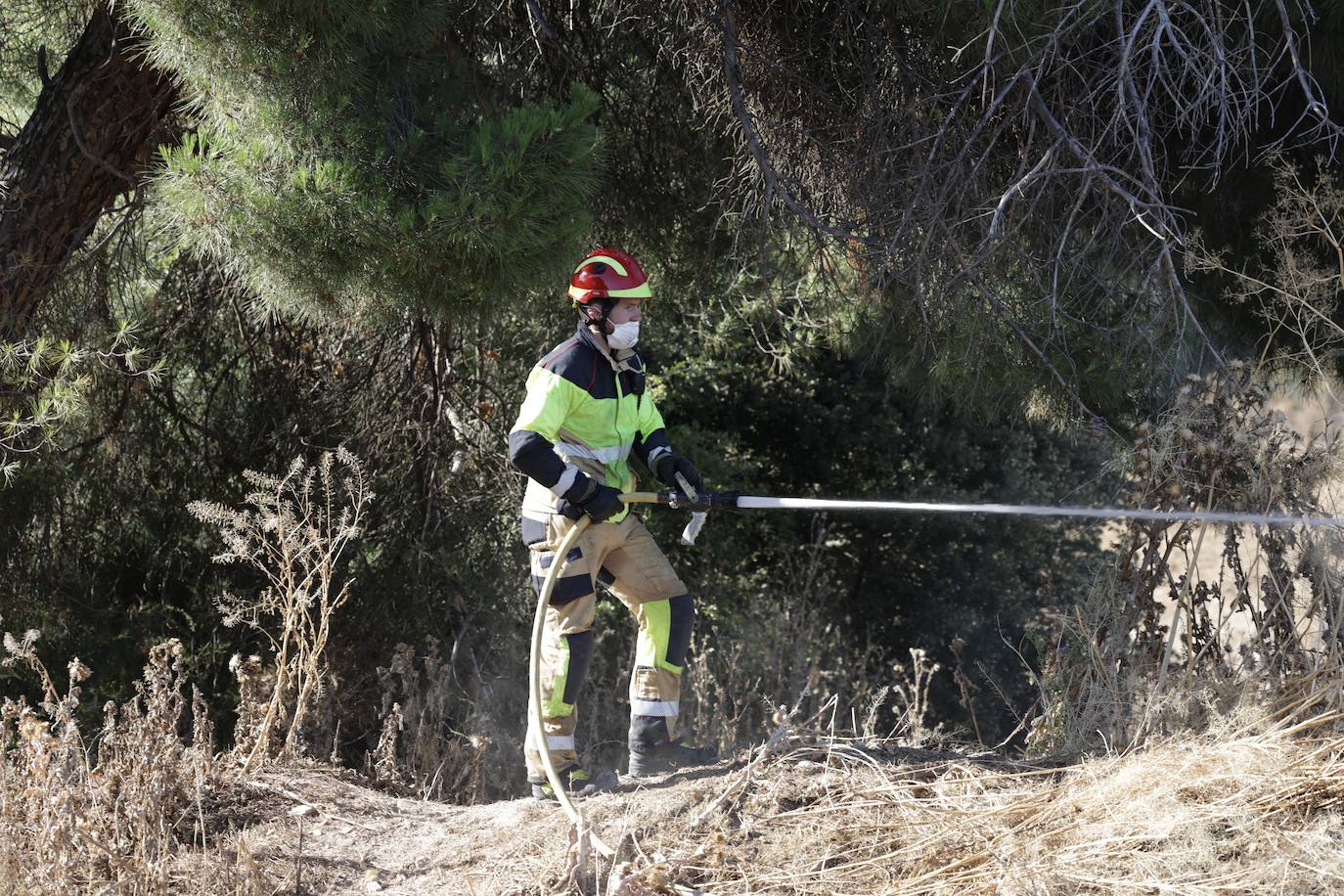 Imágenes del incendio en Pinar de Jalón