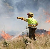 Hallan el cadáver de un hombre de 80 años en un incendio en una tierra en Palencia