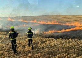 Los bomberos de la Diputación sofocan las llamas.