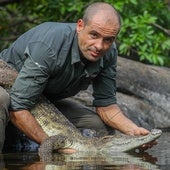 El biólogo vallisoletano que protege cocodrilos: «Es imposible que aparezca uno en el Pisuerga»