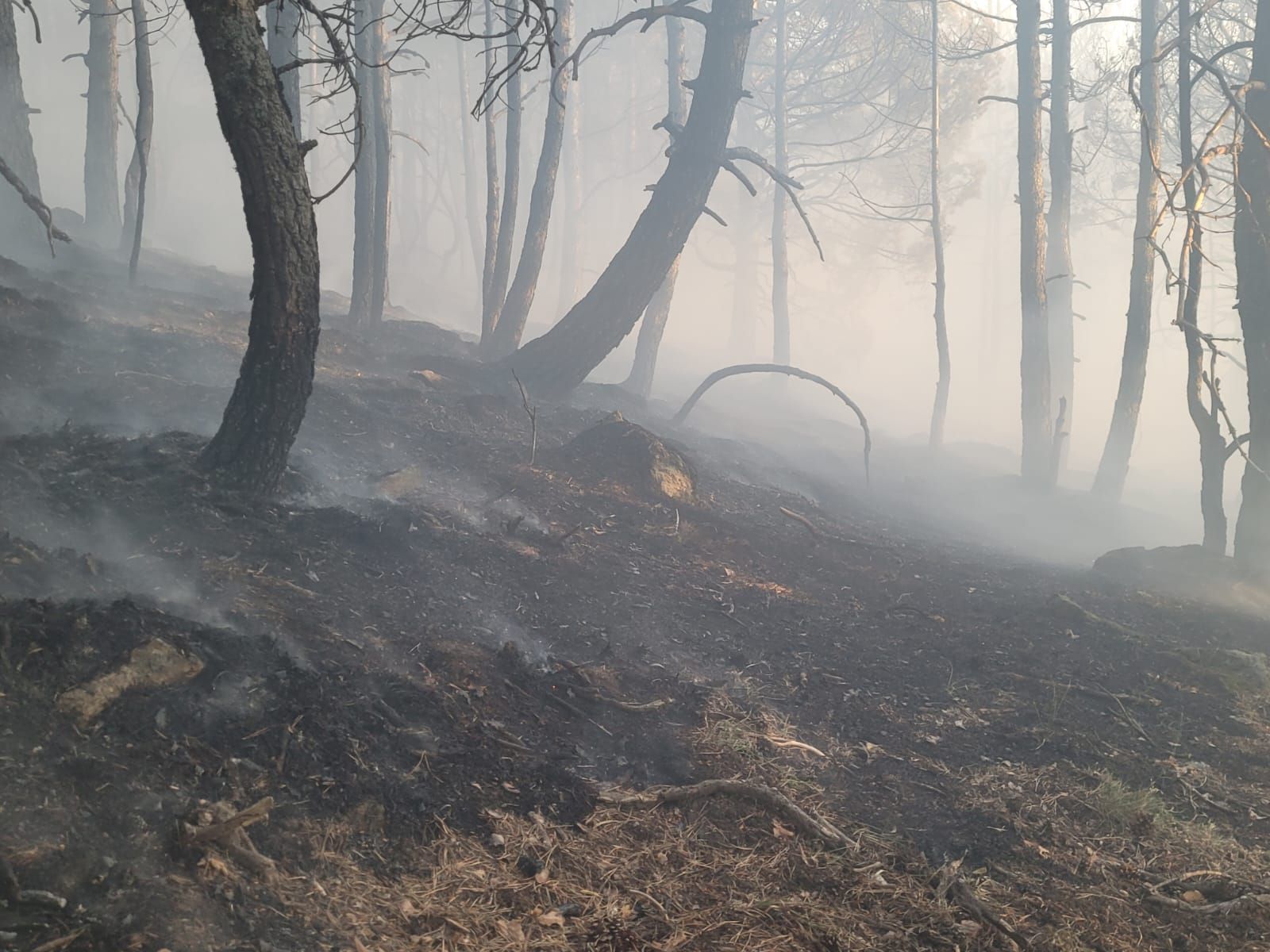 Fotografías del incendio en la sierra de Guadarrama