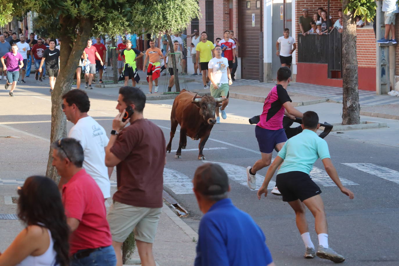 Las imágenes del encierro en La Seca