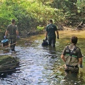 Recogen más de 3.500 peces muertos del Eresma tras la última tormenta