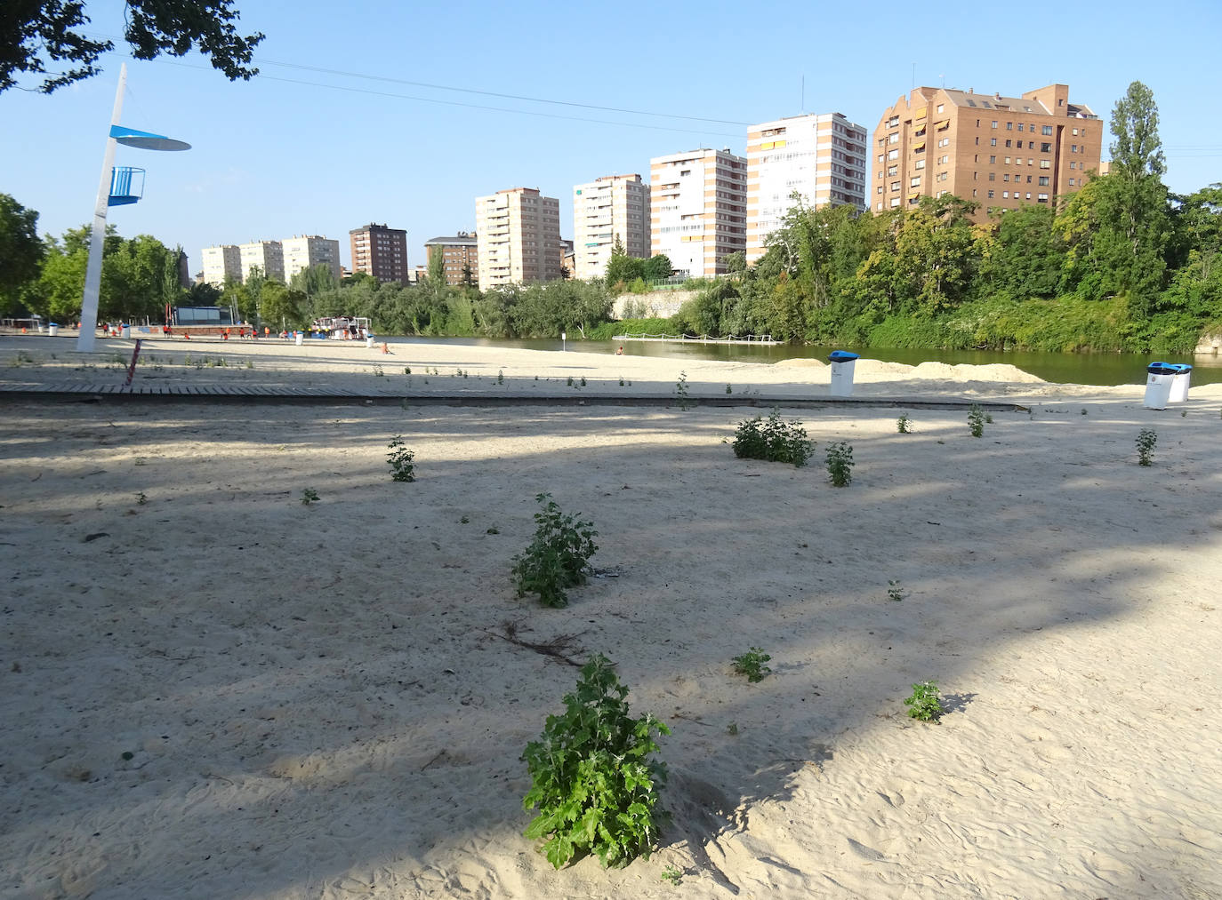 Estado de la playa de las Moreras antes del cambio de arena