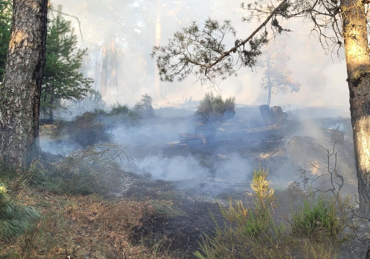 Humo sale de parte de la superficie quemada en el incendio de la sierra de Guadarrama.