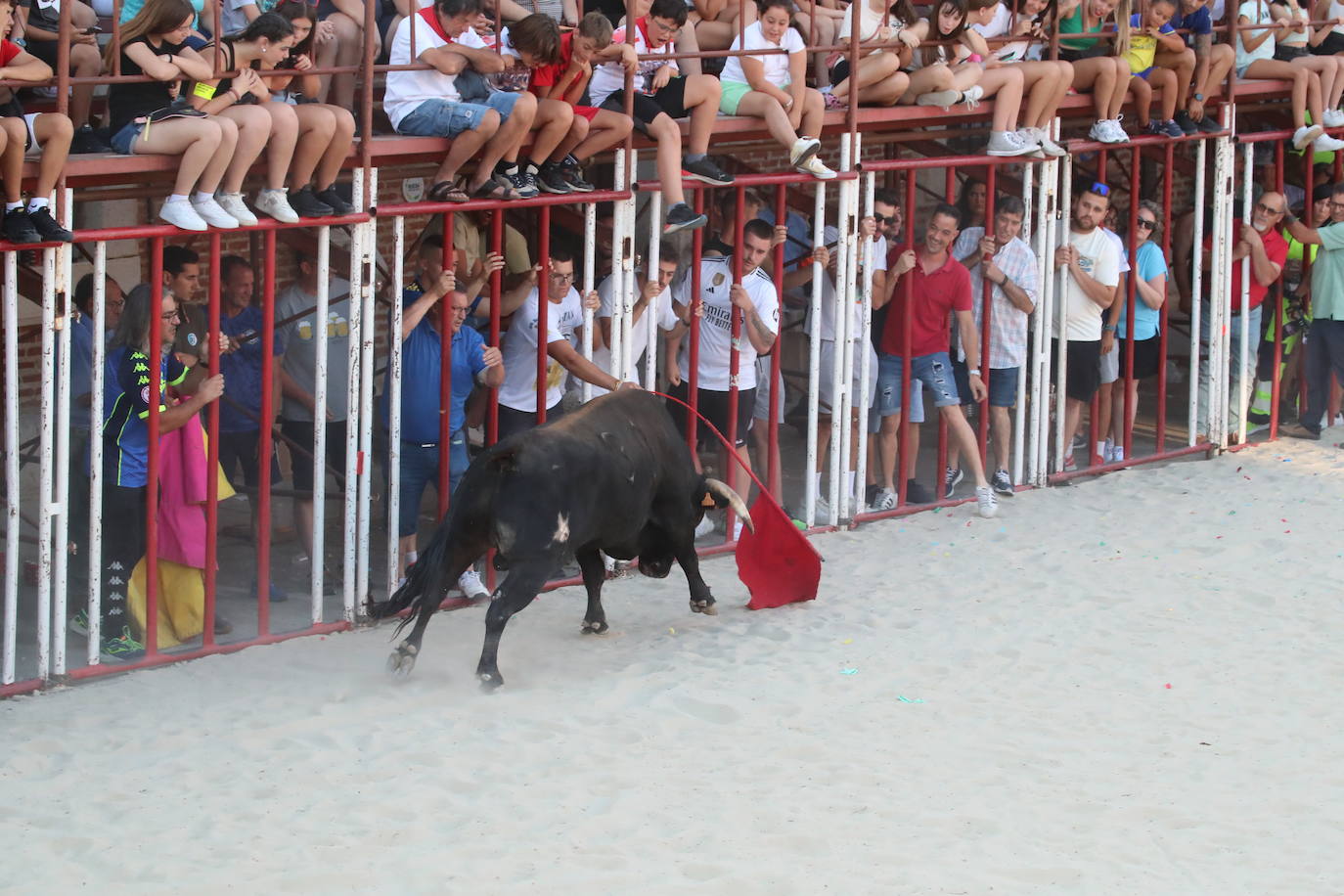 Las imágenes del segundo encierro en La Seca