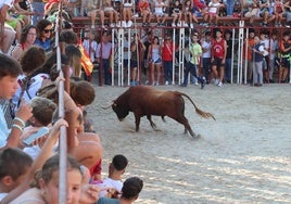 Uno de los toros de Equinotauro en el encierro de La Seca.