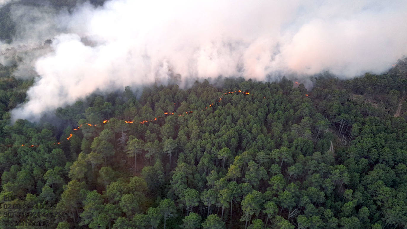 Más de 60 efectivos siguen trabajando en el incendio de El Hornillo