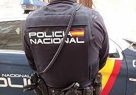 Un agente de la Policía Nacional, de espaldas, durante una intervención.